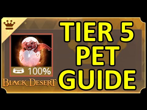Tier 5 Pet (T5) Full Guide Mechanic & Recommendation Choosing Your Pet (Black Desert Online)