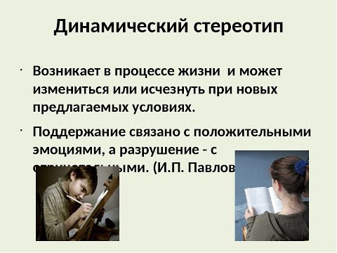 автоматизмы привычки динамические стереотипы тренинги консультации