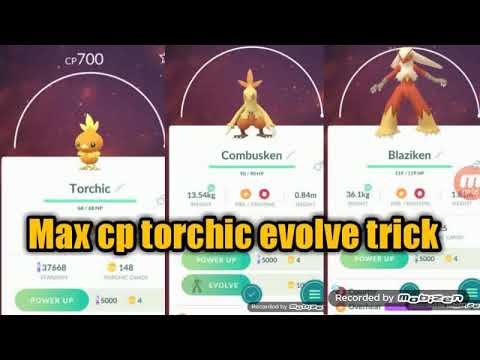 Torchic Evolve Chart