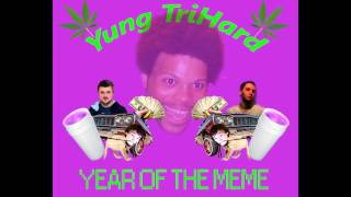 Yung TriHard - Year of the Meme