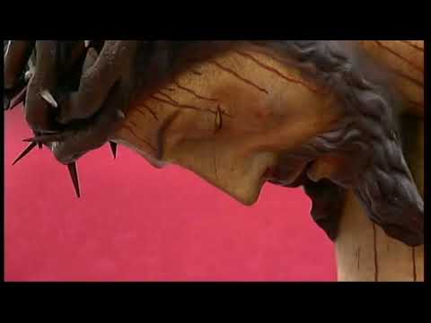 Real, Ilustre y Fervorosa Hermandad Sacramental de la Pura y Limpia Concepción de la Santísima Virgen María, Ánimas Benditas del Purgatorio y Cofradía de Nazarenos del Santísimo Cristo de la Salud, María Santísima del Refugio, Santa Cruz, Nuestra Señora del Patrocinio, Santa Bárbara y San Bernardo