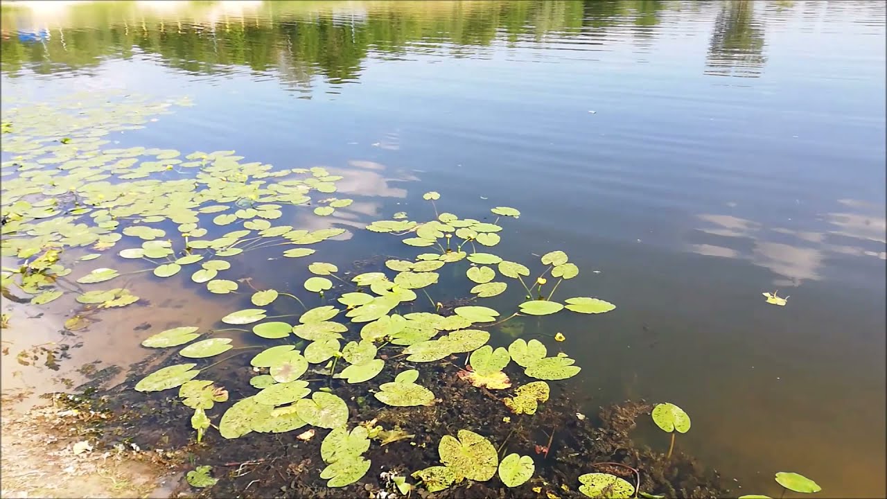Озеро надежда новосибирск