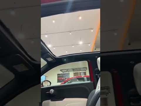 الفاشينيستا فيات 