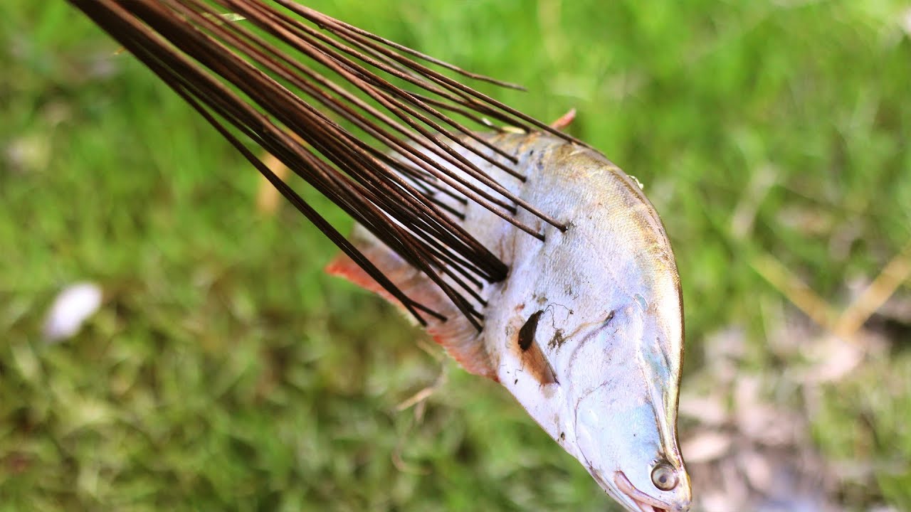 New Fishing Method||Unique Fishing video||small fishing master|Рыбалка Видео