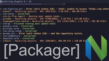 Neovim Plugin Manager [ Packager ]