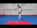 Do San Tul and basic movements for grading to 6th kup