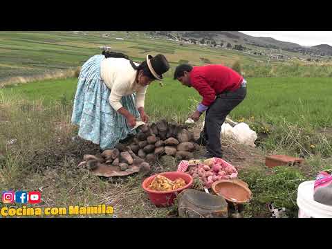 HUATIA DE CHANCHO ALA PIEDRA EN EL CAMPO TODO NATURAL