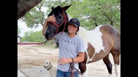 How to Place a Bit In Your Horse