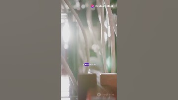 Duniya ka sabse pehla computer 🖥️ #shotsfeed #technology