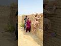 ওহ আমার মা#islamicstatus #new #shortsvideo #islamicshorts #subhanallah