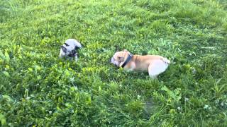 WP 20120823 171435Z