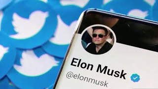 Tech analysts stumped by Elon Musk's erratic Twitter management moves