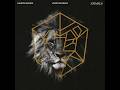 Martin Garrix Animals VNDETTA Flip 