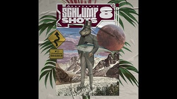 Schlump Shots 8 Demo