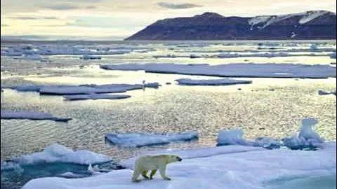 Save The Arctic- Greenpeace Project