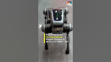 Robo Dog Dynamic 1 Launched By Tecno | Mobile World Congress 2024 | N18S | CNBC TV18