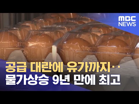 공급 대란에 유가까지‥물가상승 9년 만에 최고 (2021.10.07/뉴스투데이/MBC)