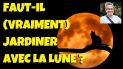 Calendrier lunaire : faut-il jardiner avec la lune ?