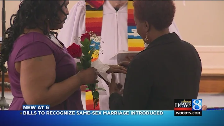 MI Dems push same-sex marriage legalization bills