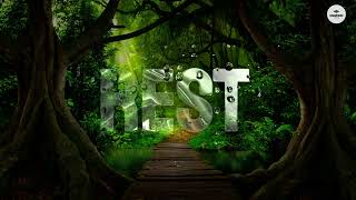 Rest | Peaceful Piano for Deep Sleep, Emotional Healing & Inner Calm | Harmonic Focus