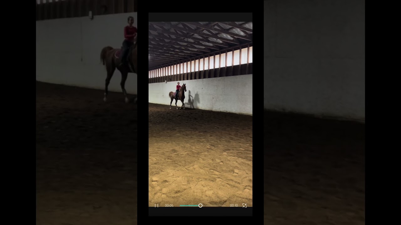 throwback to this ride!😛🤍 riding clover on saturday!!!