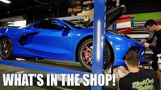 The BEST Shop Tour on the Internet: What's In The Shop! | Blackout Tinting by Blackout Tinting 378 views 1 month ago 8 minutes, 1 second