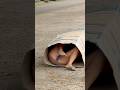 La caja 📦 sorpresa 😳 #funny #viral #humor #trending #prank