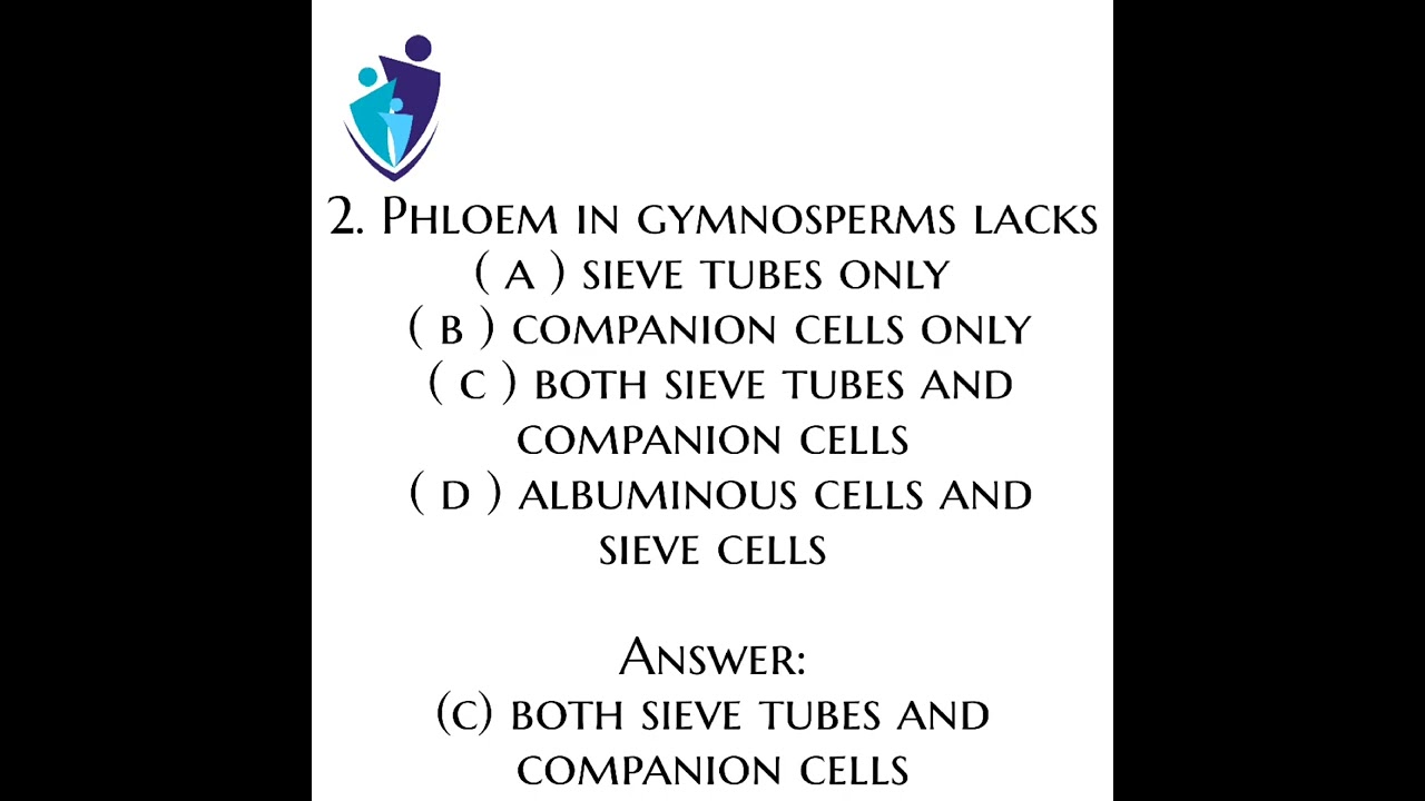 neet2019 p1