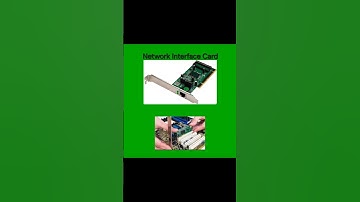 NIC (Network Interface Card)