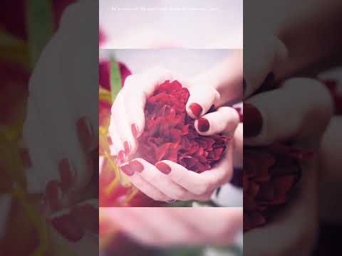 mery rashq e qamar ❤️❤️❤️