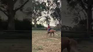 He Was Very Cheeky Today