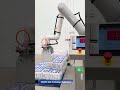 🧂 Smart & Hygienic Palletizing for Food Production