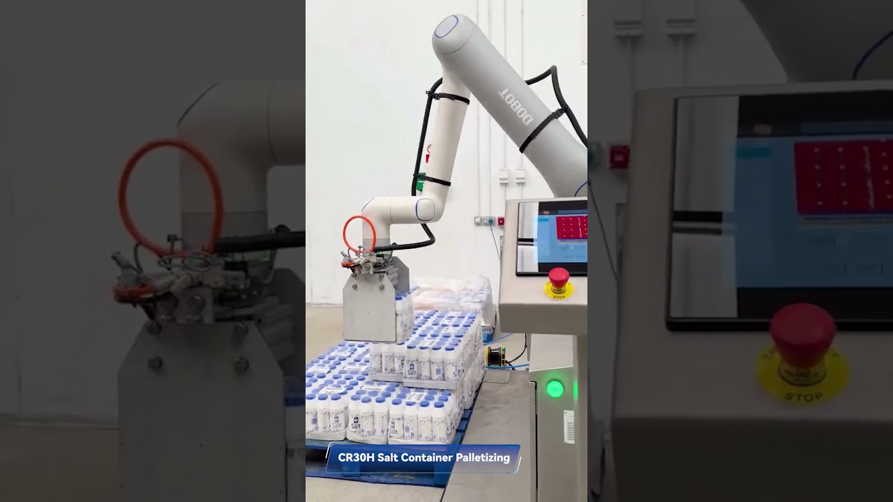 🧂 Smart & Hygienic Palletizing for Food Production