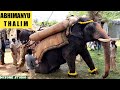 Mysore Dasara 2021: Ambari Elephant Abhimanyu Thalim | Jumboo Savari Elephants @ Mysore Palace