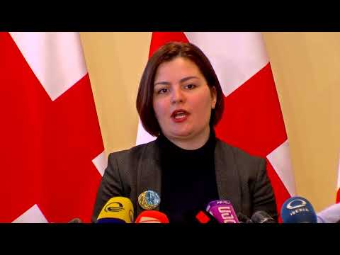 ანა ნაცვლიშვილმა მონიტორინგის ჯგუფთან ევროკავშირთან ასოცირების ხელშეკრულების გამოწვევები განიხილა