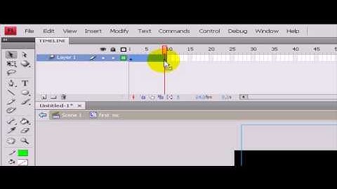 Adobe Flash CS4: Movie Clips