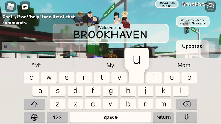 Me and my brother playing Brookhaven in a private ...