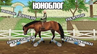 Влог RRР|новые лошади|тренировки|переезжаем..|мое падение|Star Stable Online