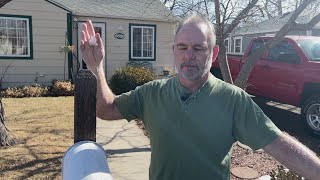 Alleged victim of tree-trimming scam: "my little 'Spidey Senses' went off"