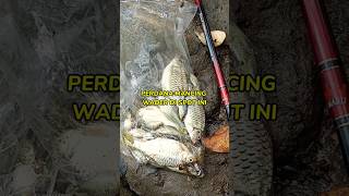 perdana mancing wader di spot ini #mancing #mancingmania #mancingwader #trendingshorts