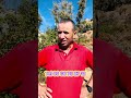 مأوى سياحي جميل جدا تورات بني شكورة قيادة تلمبوط اقليم شفشاون المغرب