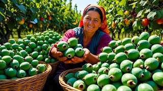 Download Lagu Grandma’s Secrets: Country-Style Feijoa Jam And Ancient Countryside Food MP3