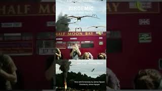 Birdemic