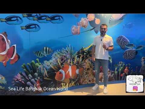 Güneydoğu Asya’nın en büyük ve büyüleyici akvaryumu olan Sea Life Bangkok Ocean World