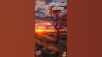 عالم الهدوء والراحة النفسية مع القارىء أحمد الشافعي بن إبراهيم الدمشقي سورة الأنعام ص١٣٠