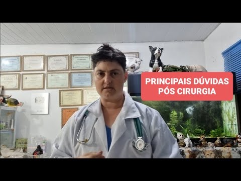 Vídeo: Por que meu cão não faz xixi após a cirurgia?