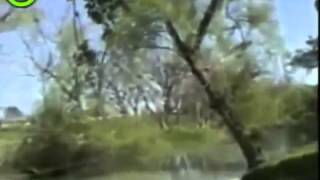 Fail Compilation 2012 Epic Fails