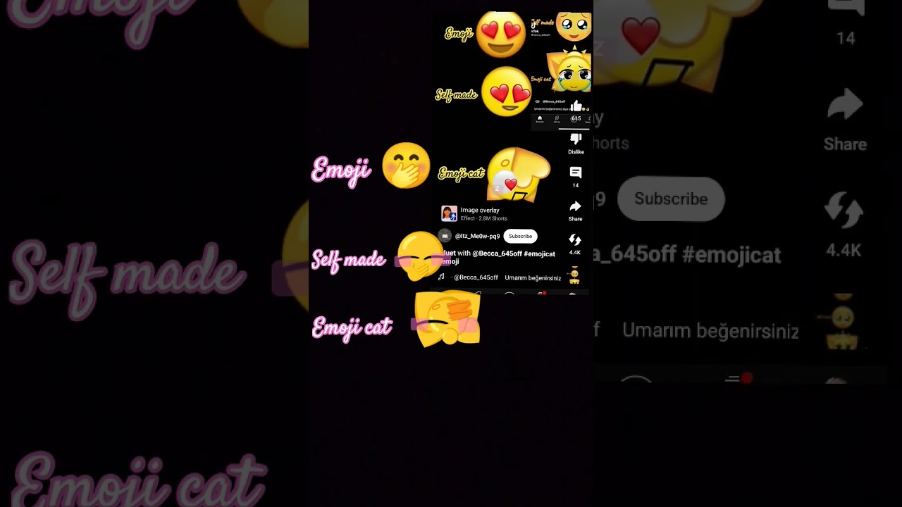 Emj and sfmd and emj CT 