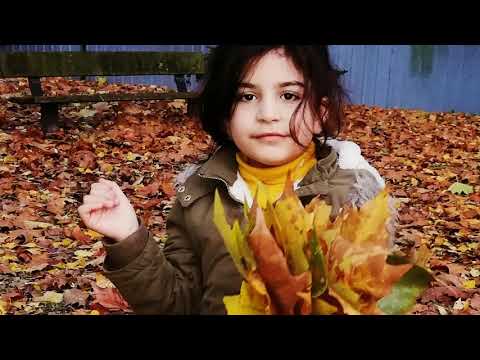 اغنية كردية كجي والله ته بدوي تو نازكي واك وي 