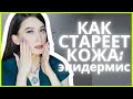 КОЖА 50+ ✔️Как стареет эпидермис и ЧТО ДЕЛАТЬ🤷‍♀️